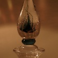 DSC01157.JPG