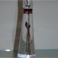 DSC01185