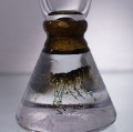 DSC01211.JPG