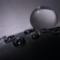 DSC01218.JPG