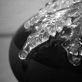 DSC01224.JPG