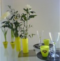 DSC00374.JPG