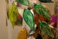 DSC02817.JPG