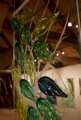 DSC02933.JPG